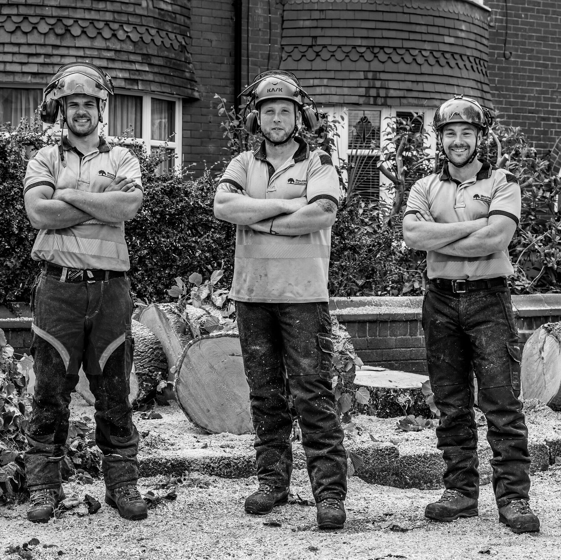 uk tree surgeons at work photo by Nigel Maitland