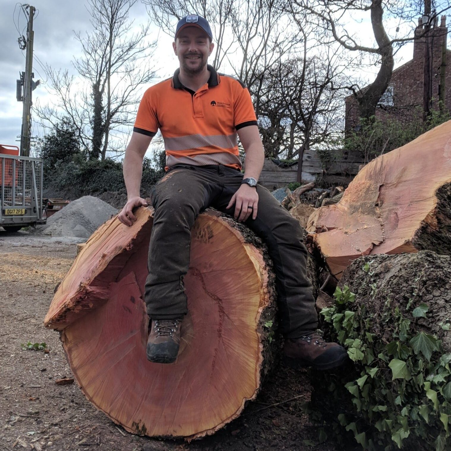 arborist Matt Glynn sat on a London Plane timber stem