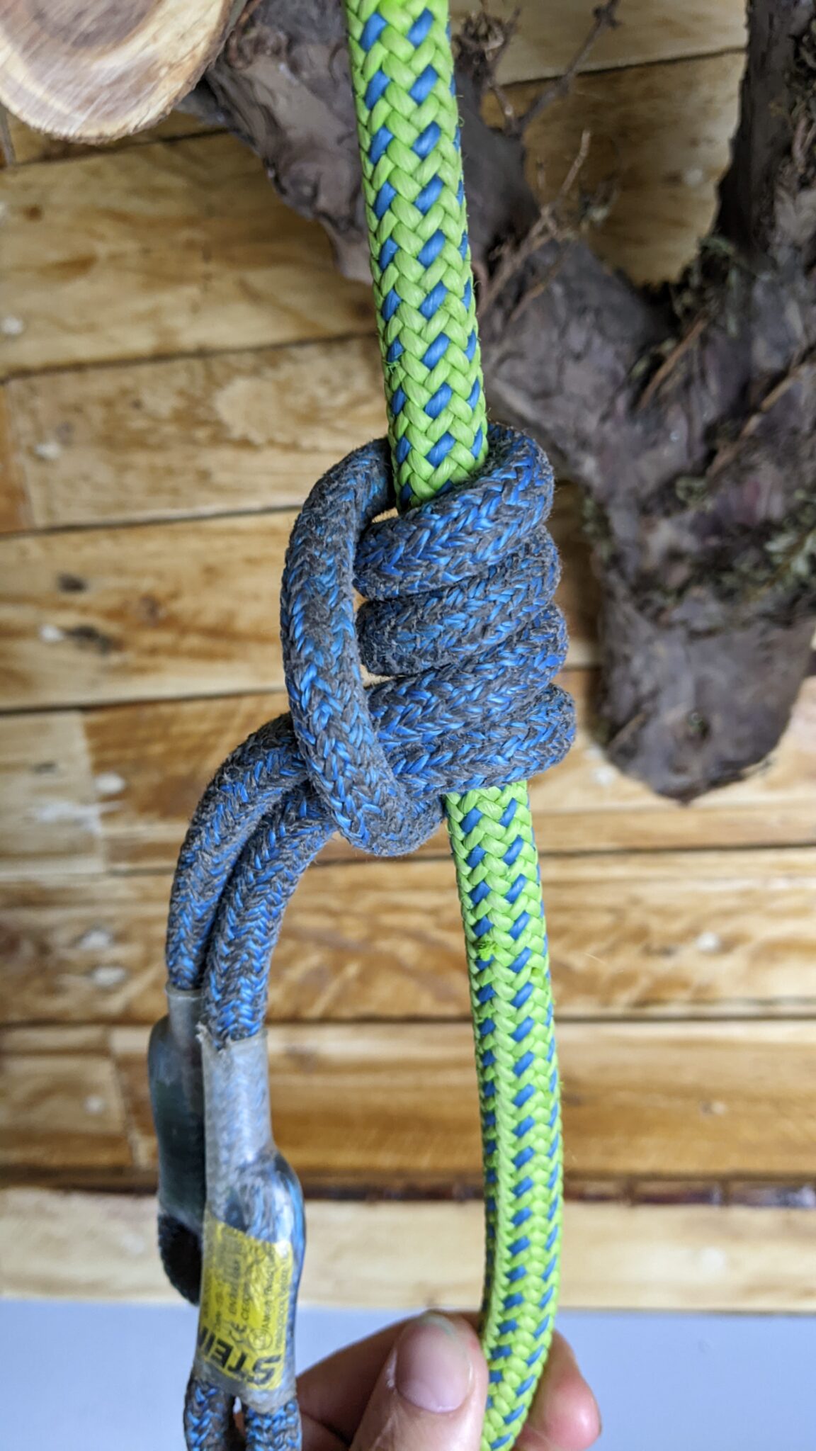 What Knots Do Tree Climbers Use?