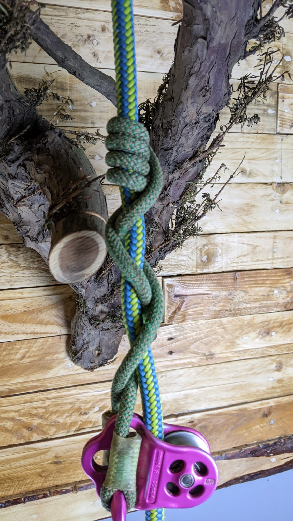 What Knots Do Tree Climbers Use?