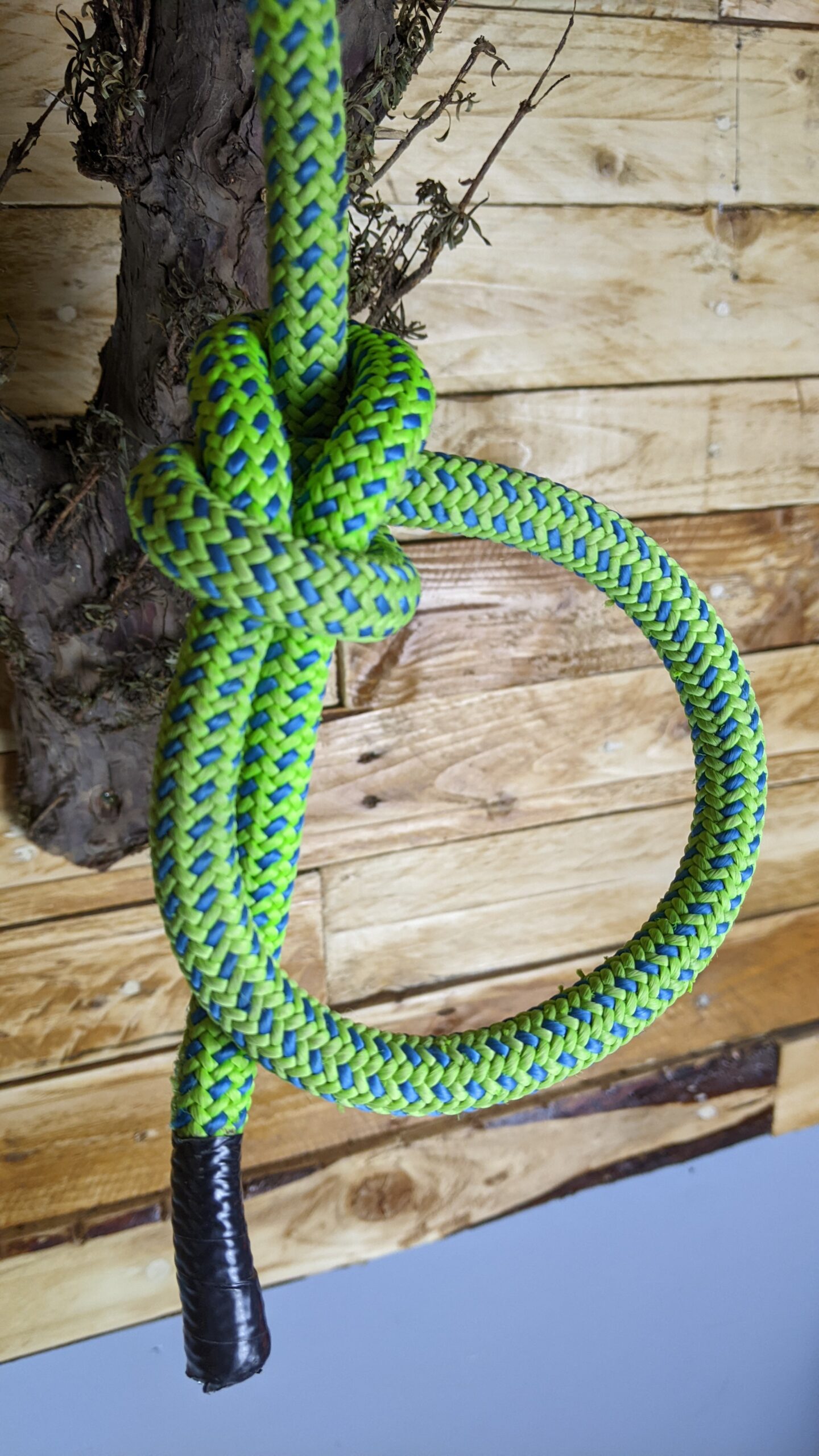 What Knots Do Tree Climbers Use?