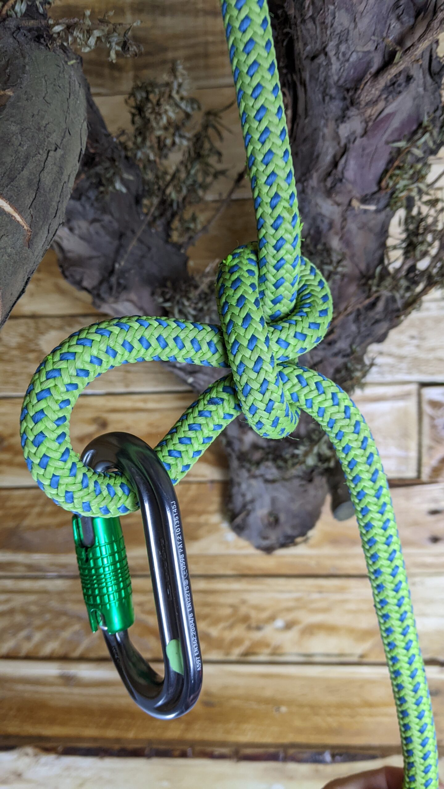 What Knots Do Tree Climbers Use?