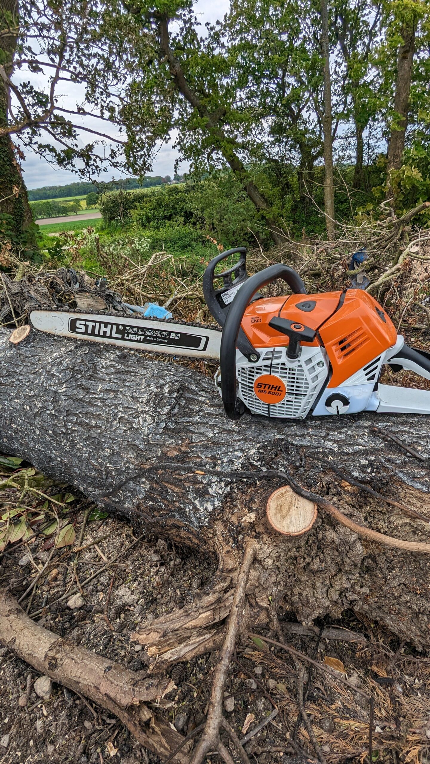 matt glynn arborist tree felling services