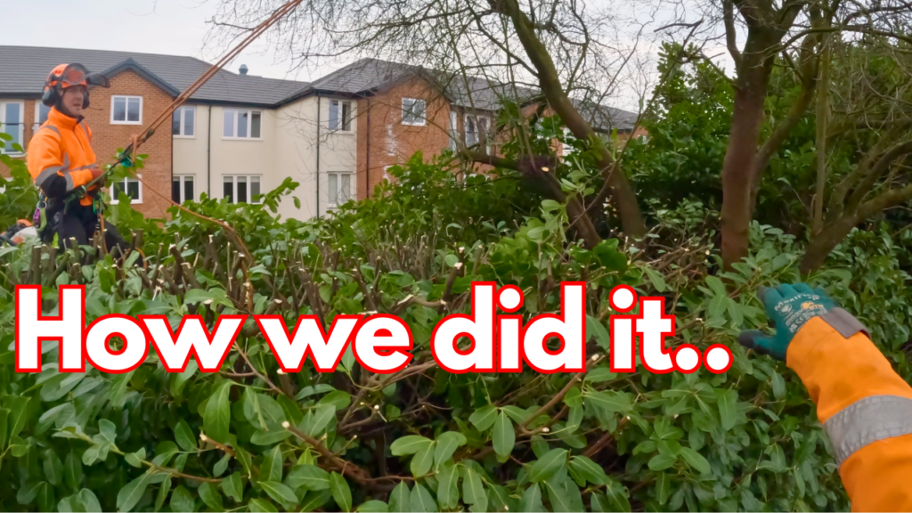 hedge reduction how to