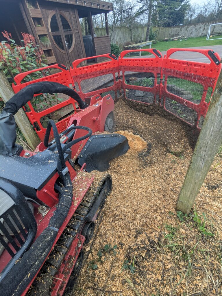 stump grinding1 stump grinding