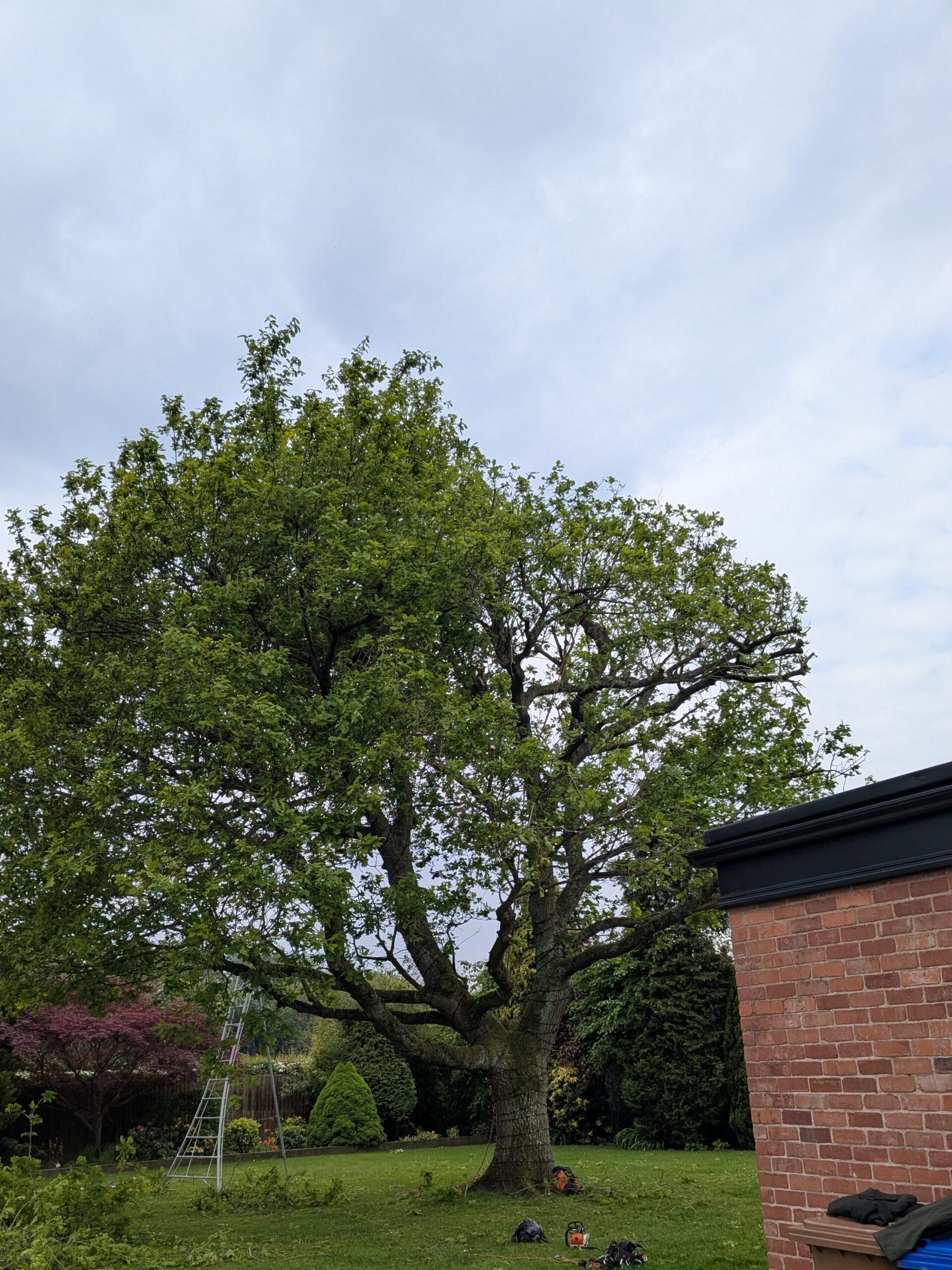 PXL_20260508_093201176