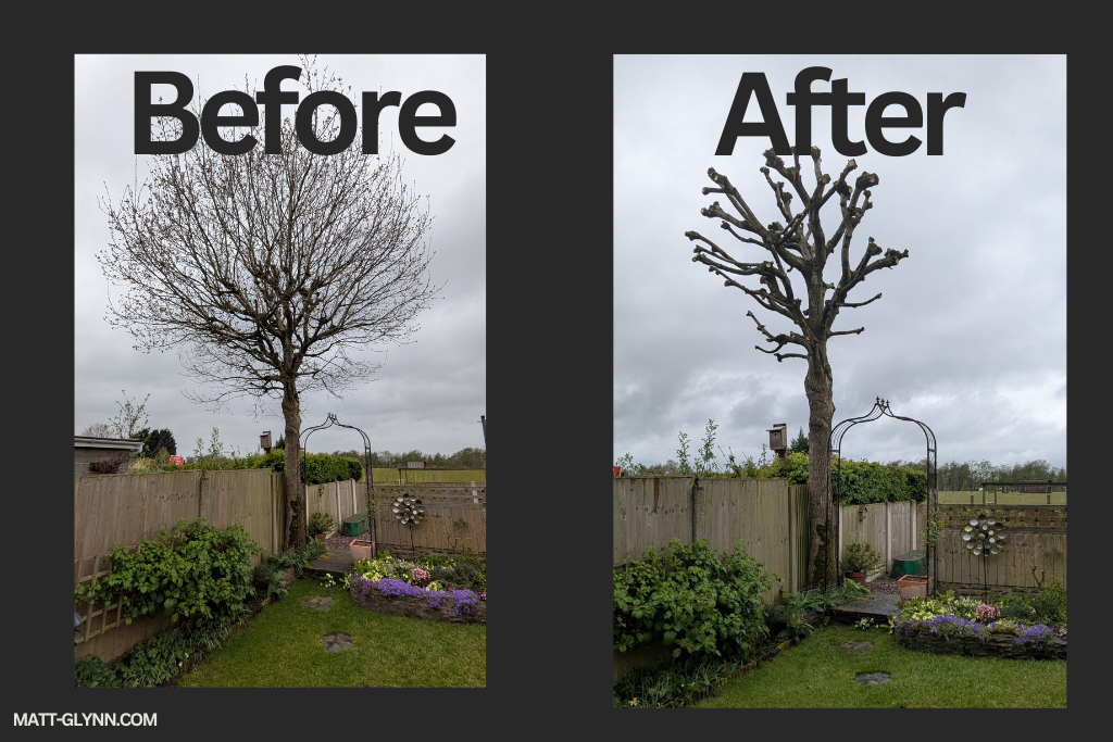 pollard before after