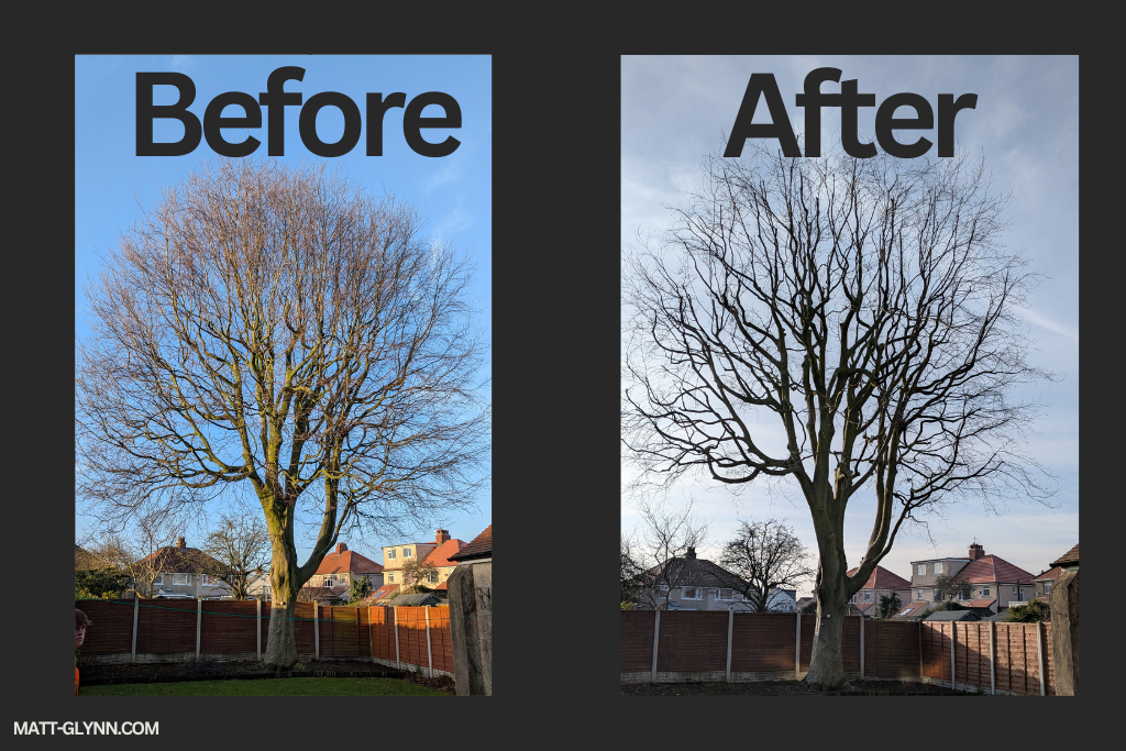 crown thin before and after